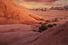 Wadi-Rum-8.jpg
